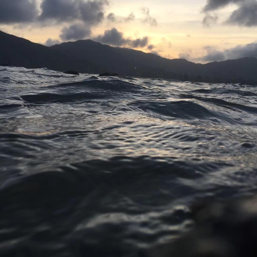 zz爱吃饭