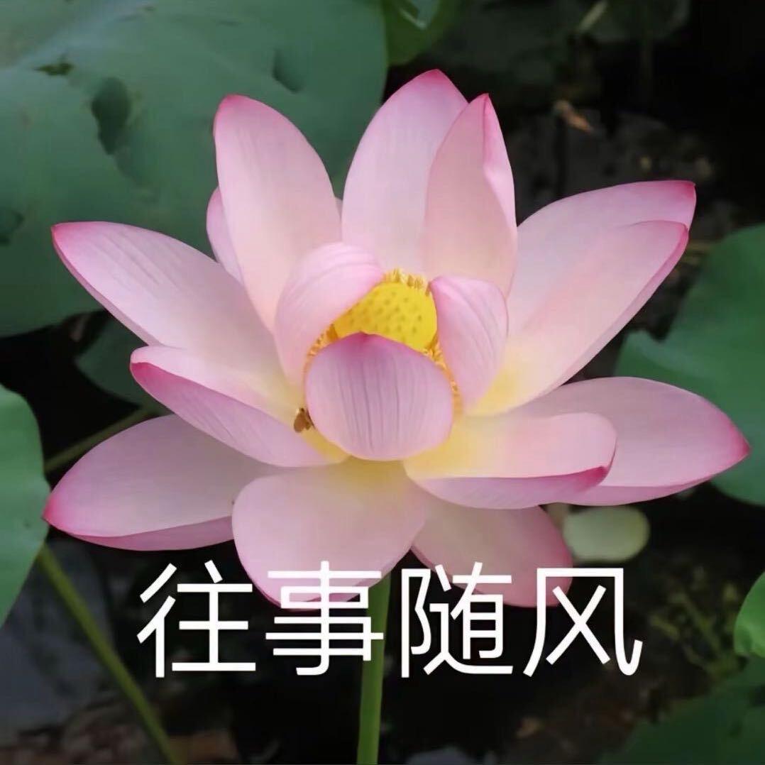 木