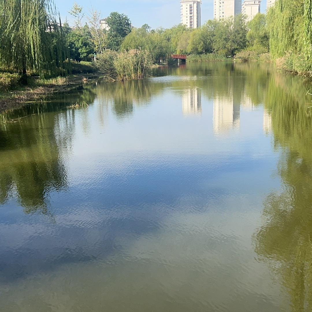 莫愁正能量（好物在橱窗）