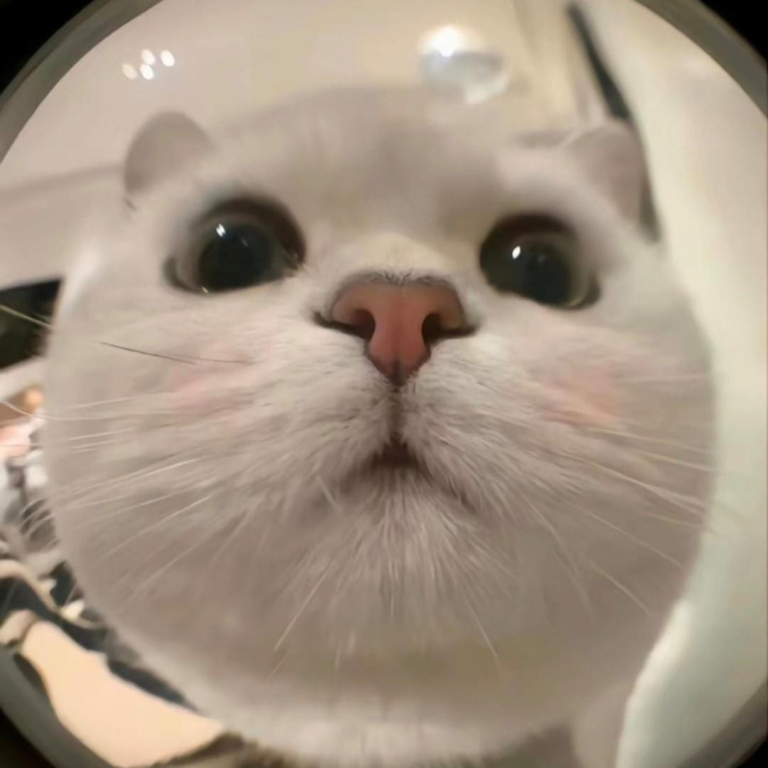 @甜甜圈💫