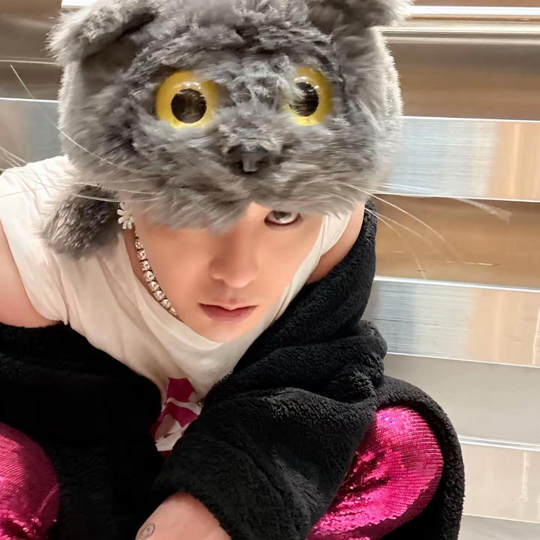 rui.