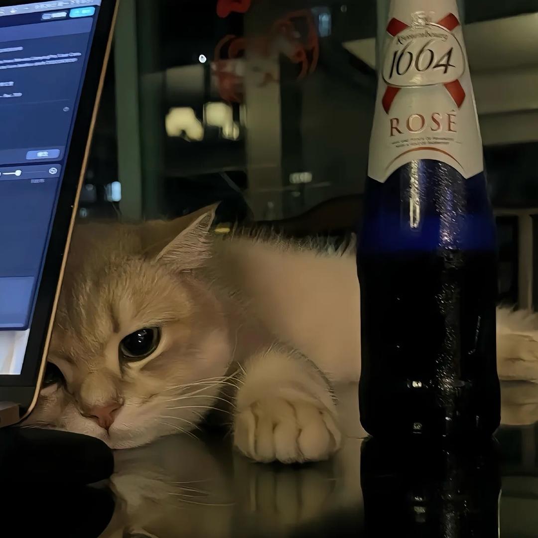 ꒰ঌ贺少໒꒱❄️（安妍）