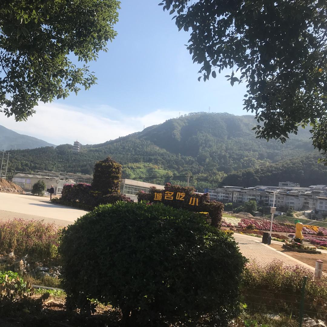 小杨