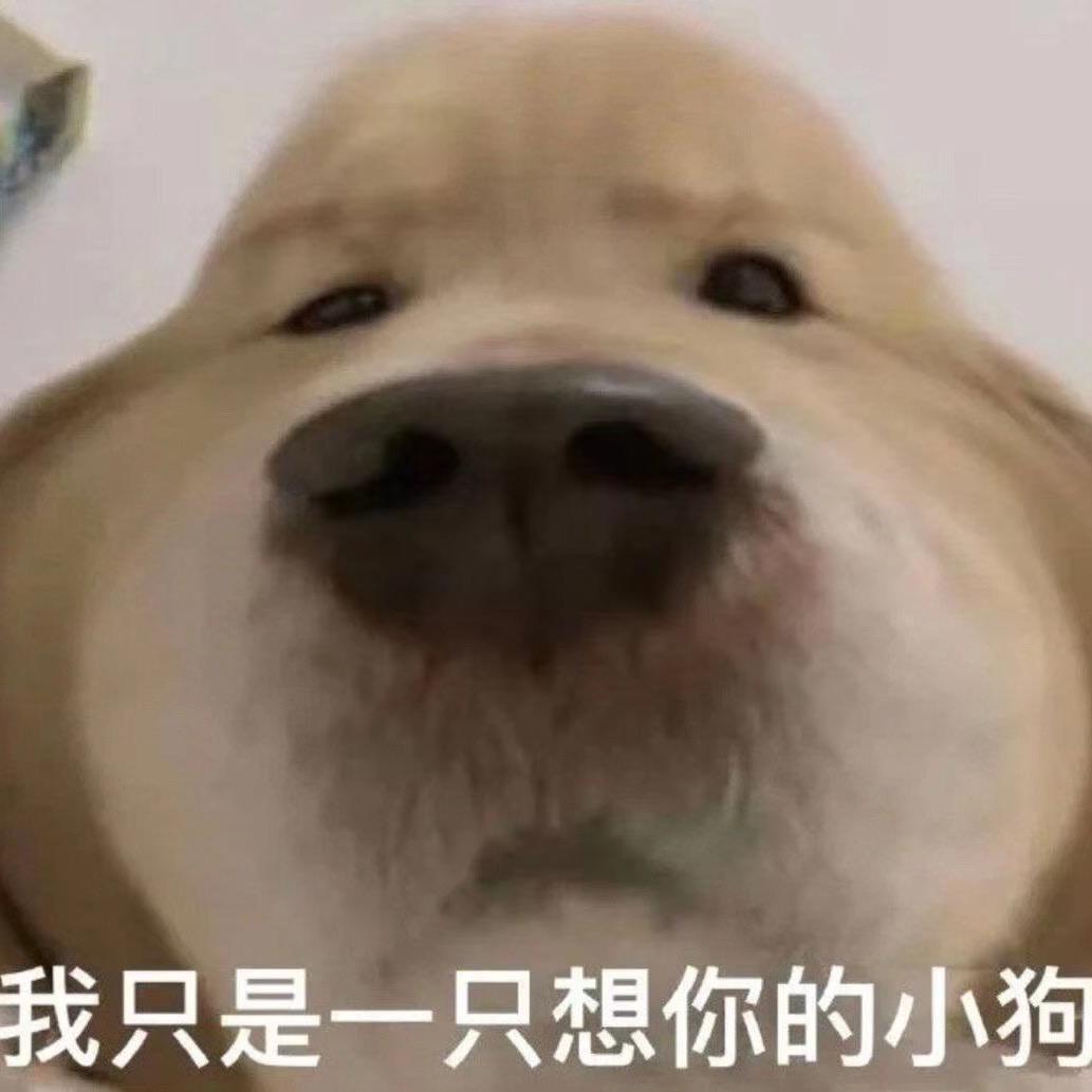 爱神