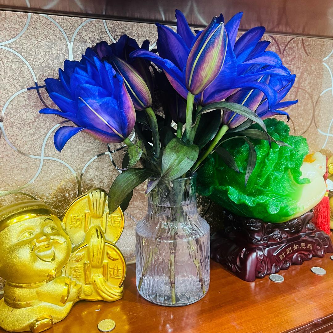 👑👑爱自己🐟💋💋