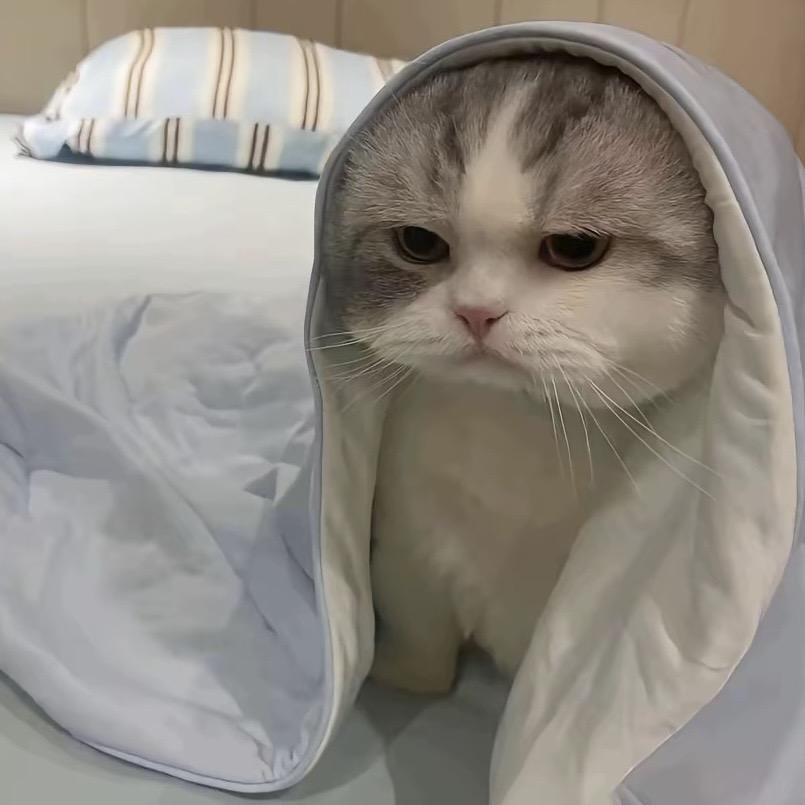曾雄