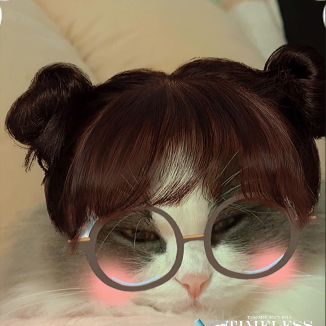沫儿🦉🦐
