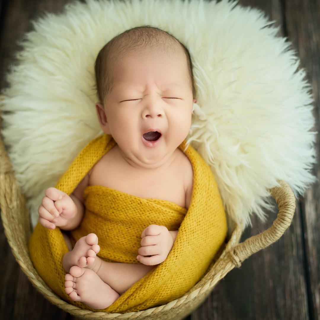 @萨巴赫的主理人