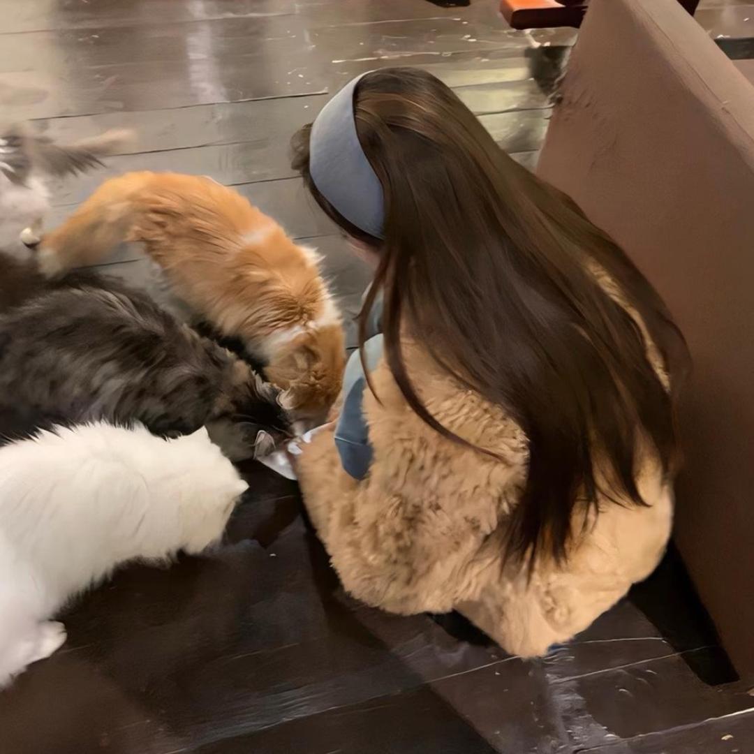 小允（在喝是🐶版