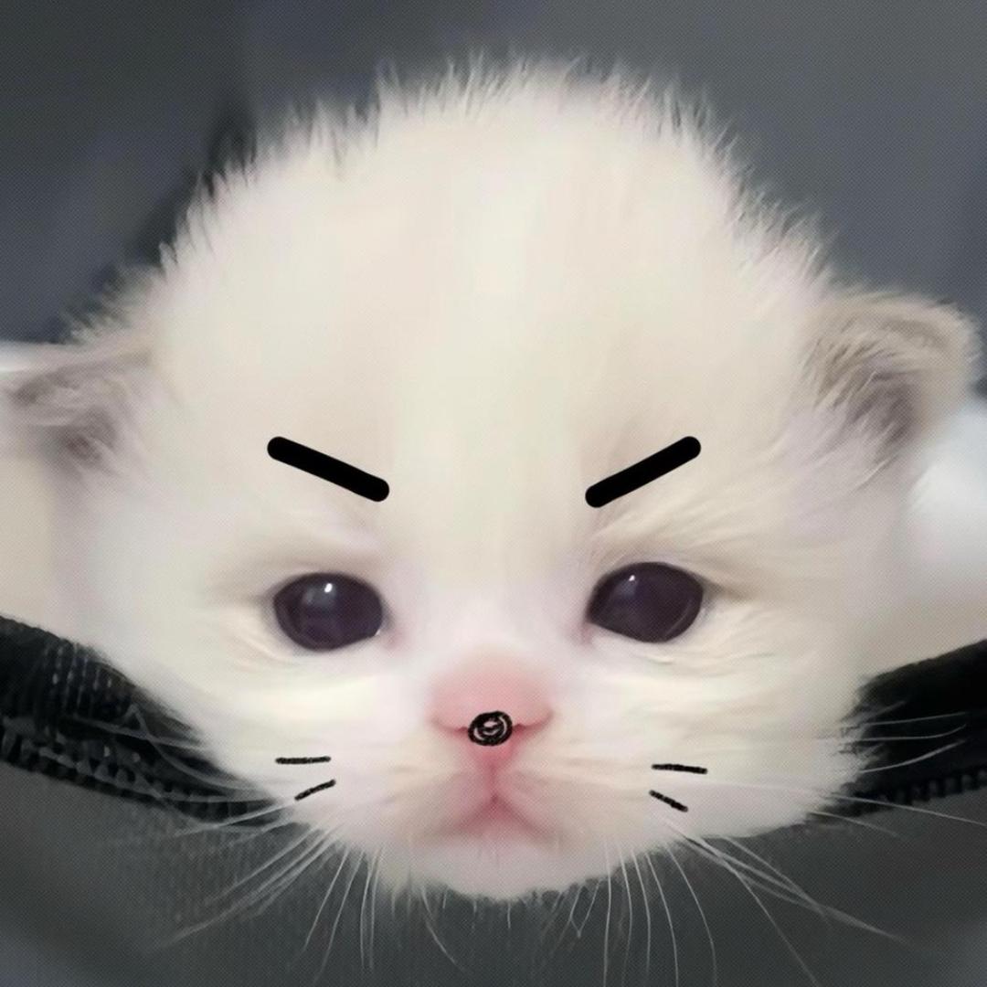 就是这么萌