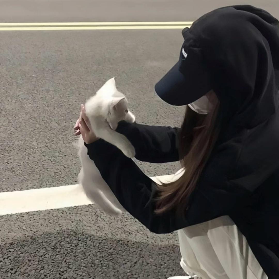 大脸猫很nice