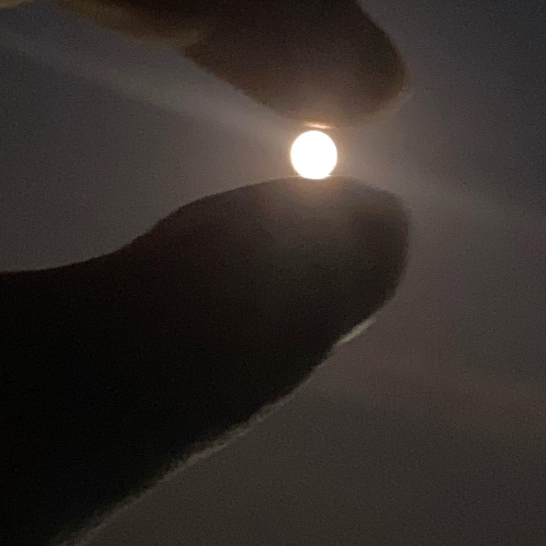 红鲫鱼与绿鲈鱼与驴