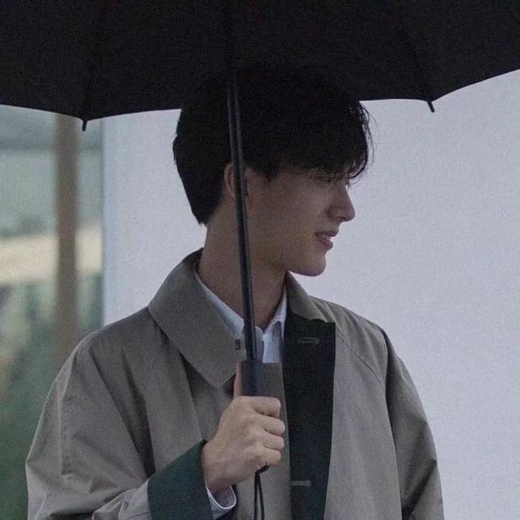 🌈Tao呆呆@