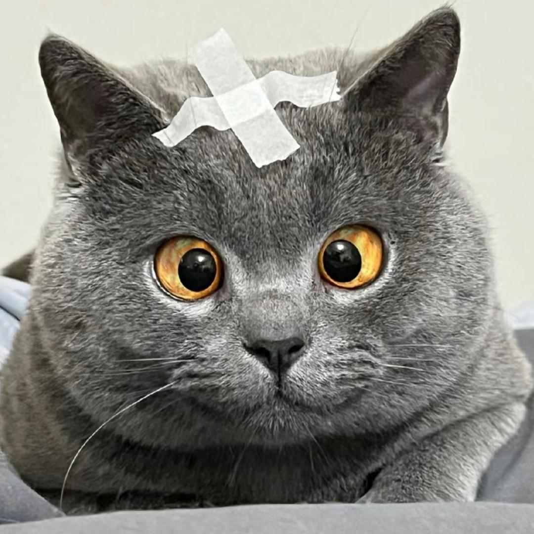 鲨鱼辣椒炒鸡蛋