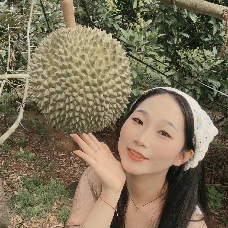 双双的榴莲农场
