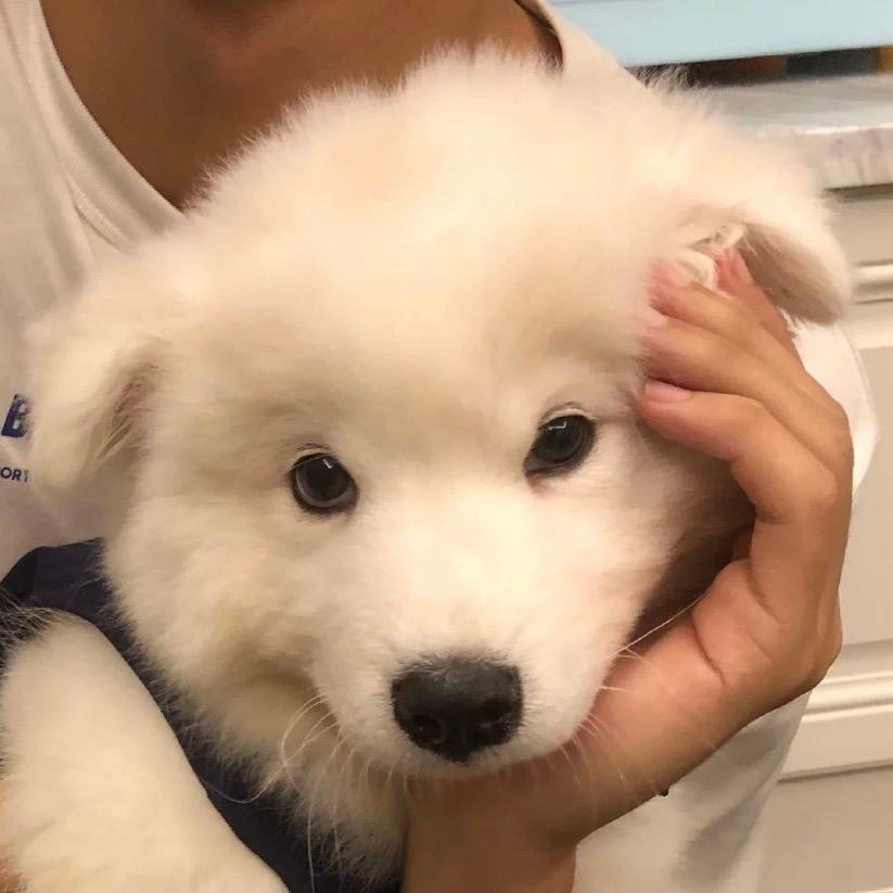 你快别吃了
