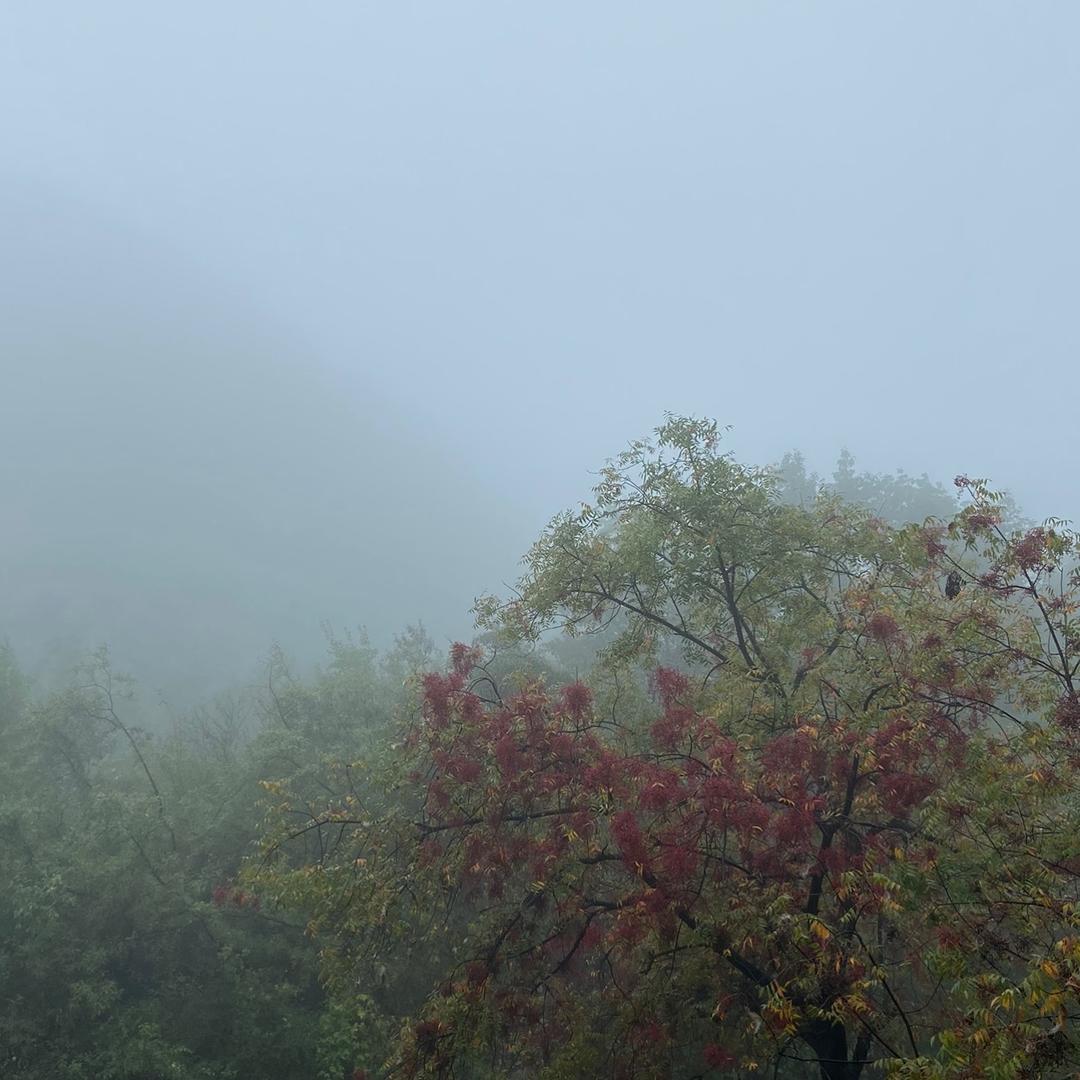 南窗