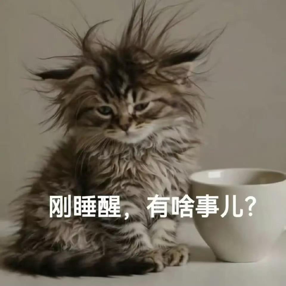 xi嘻嘻
