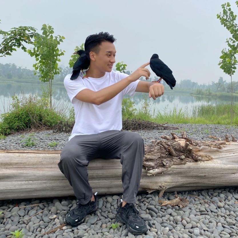 哎哟不错汽车服务