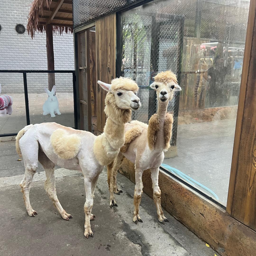 顺其自然～～