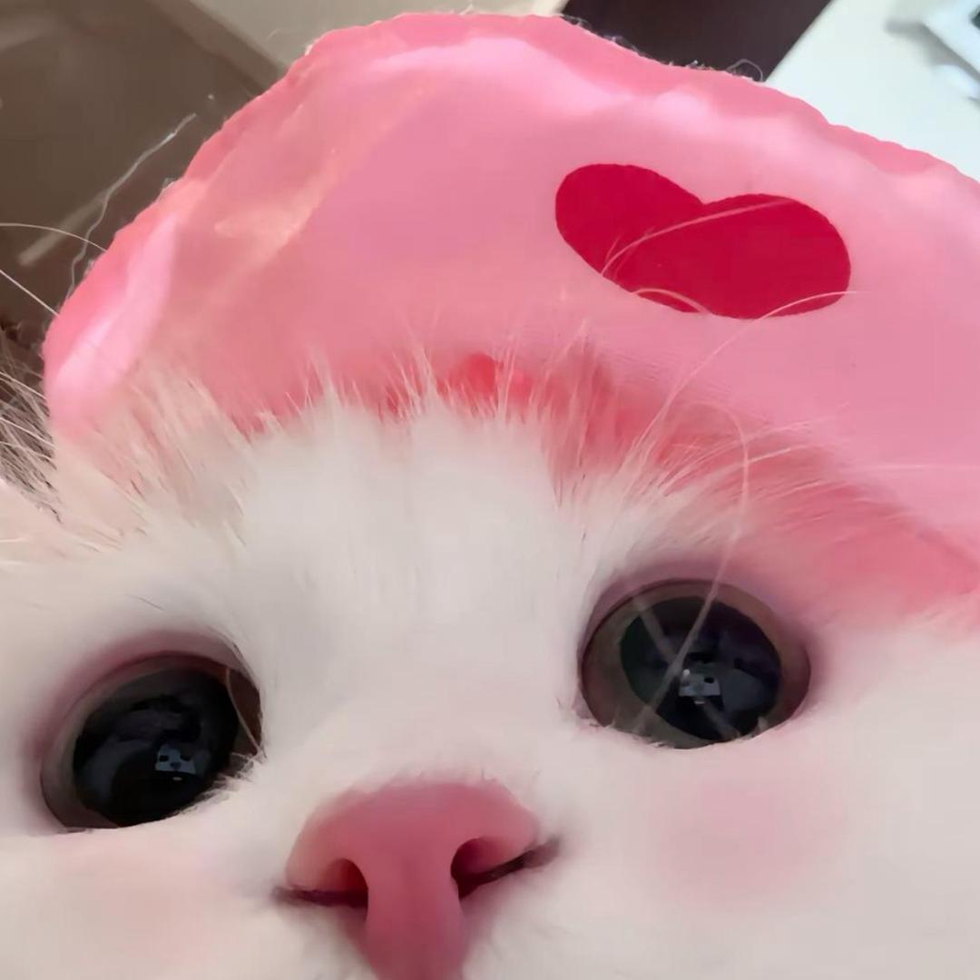 已困告