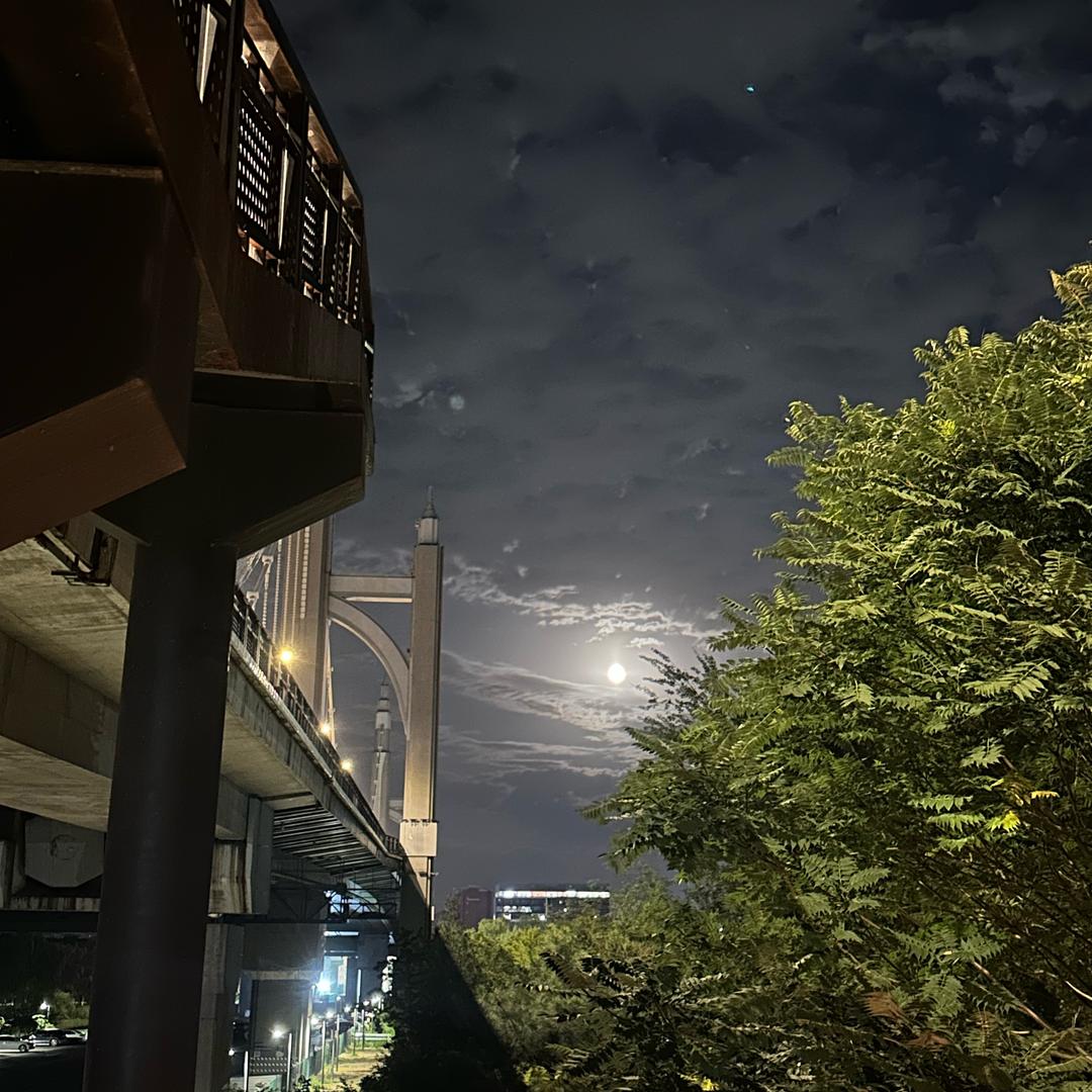 喵星球的小王子🤴