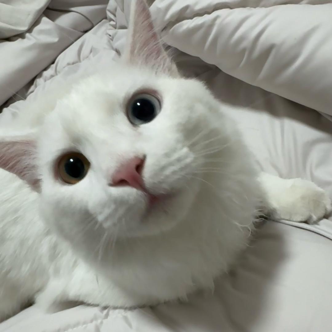 孙婷