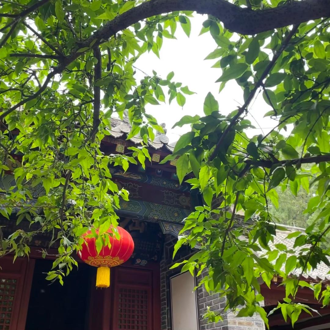 锦时