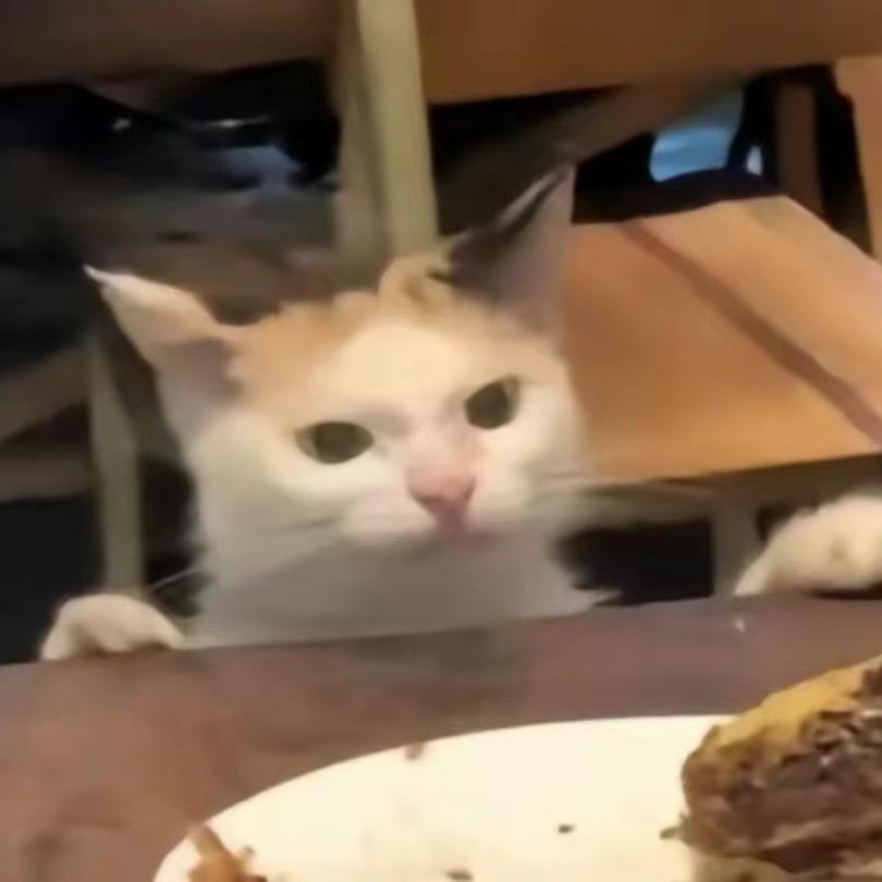 铛铛