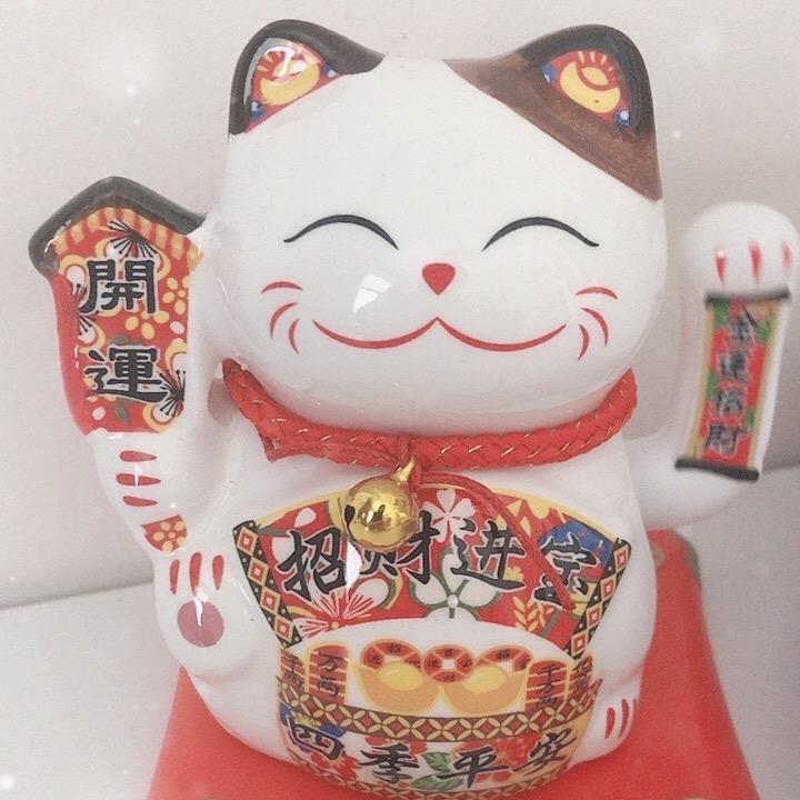 宸姐在北京