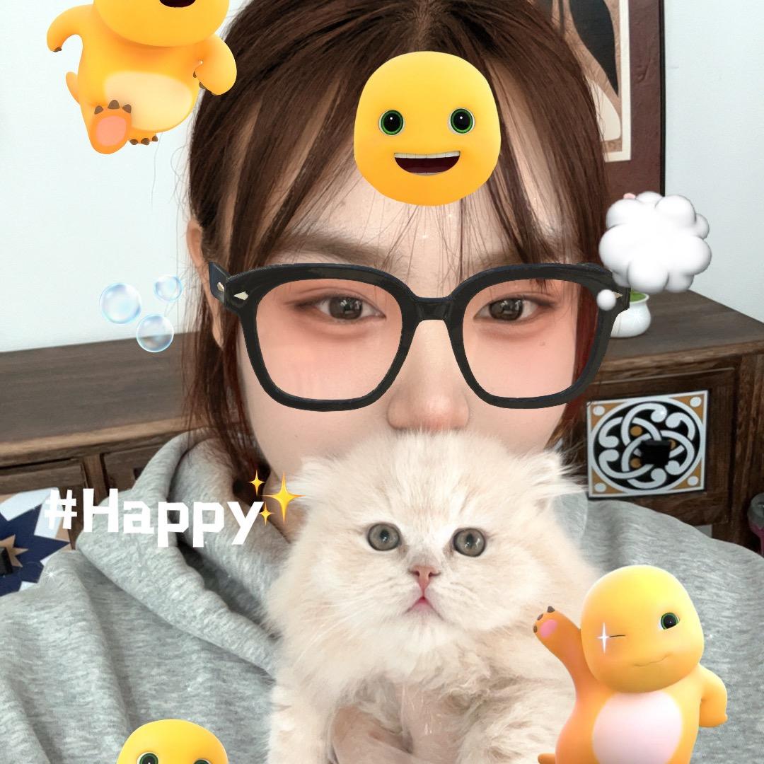 小狐缅因店（权威不糊版）大号