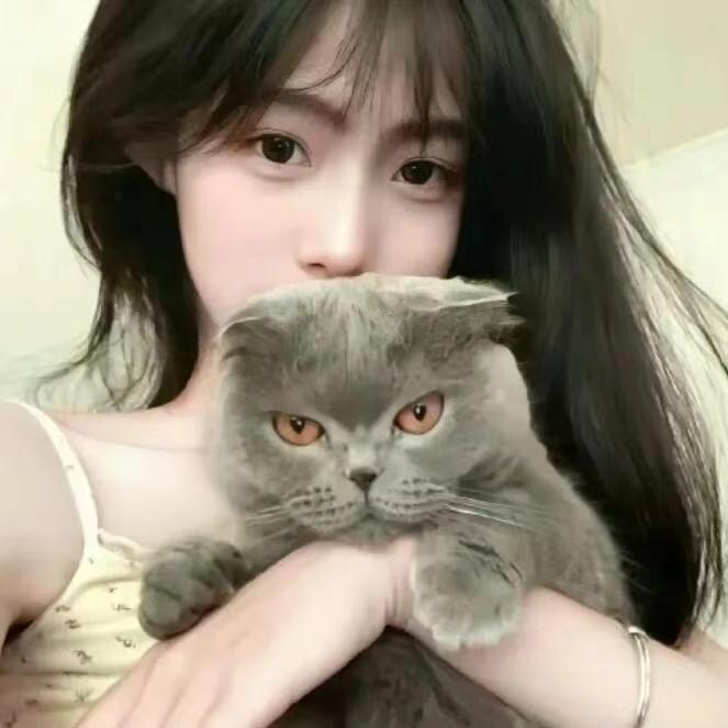 爱宠有馆