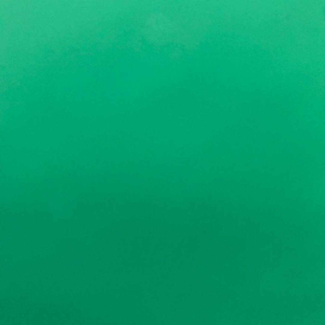 南邻先生