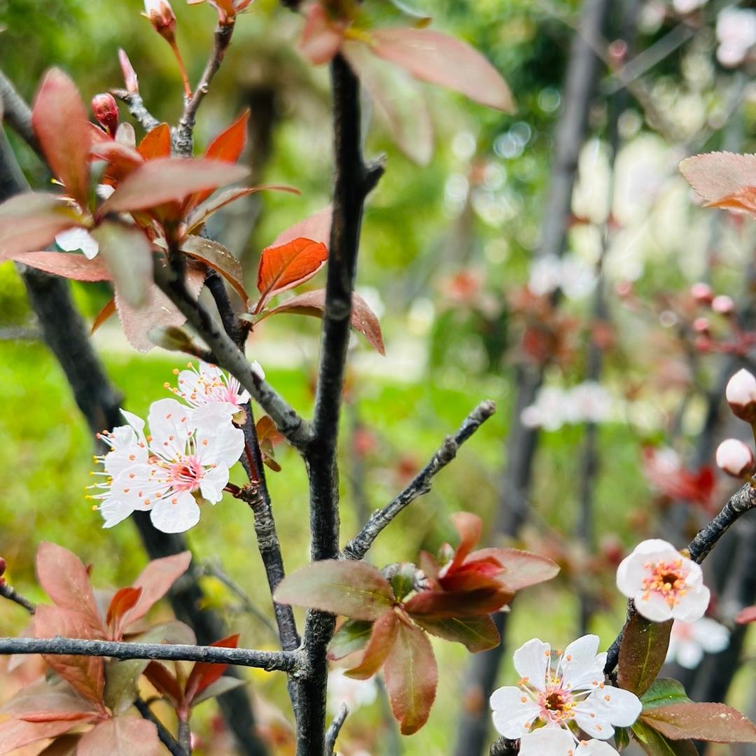 胖胖的逆袭