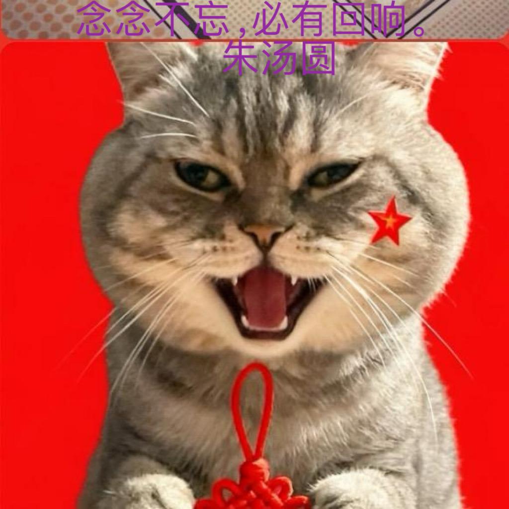 🌻: ღ᭄🍒清醒᭄