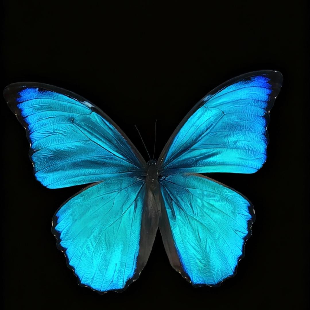 °C