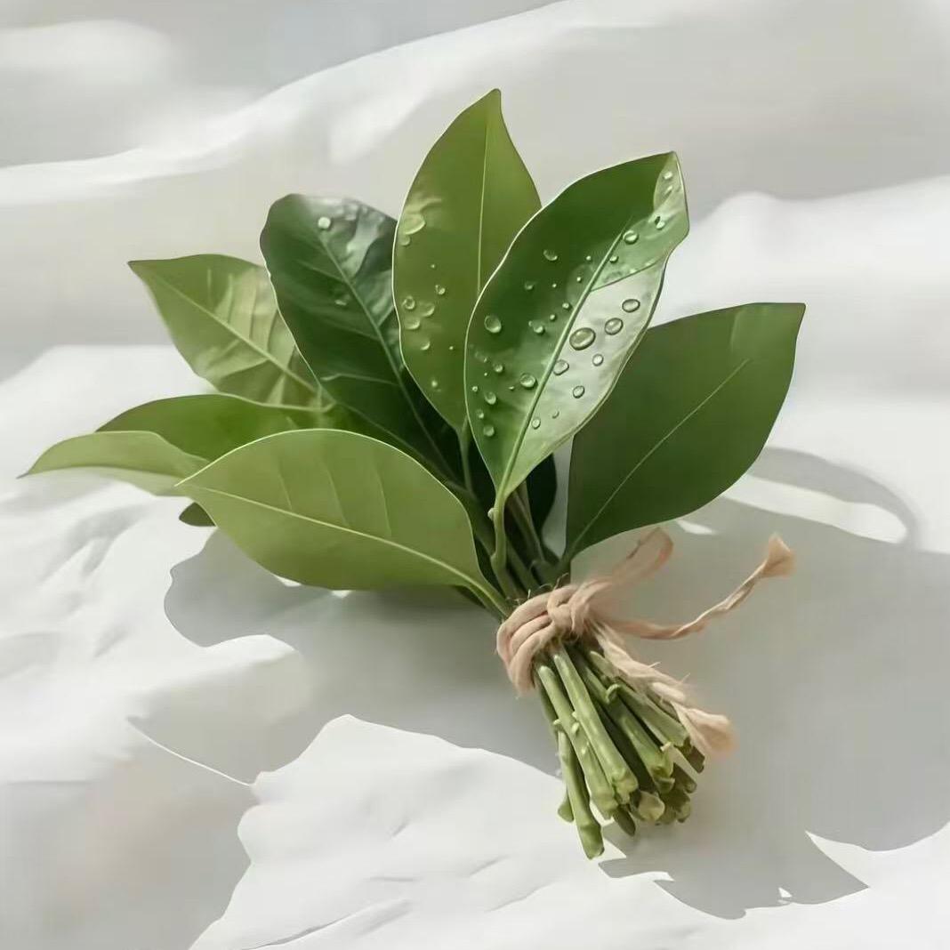 🕊༄℘⃝㞮孞࿐🍒