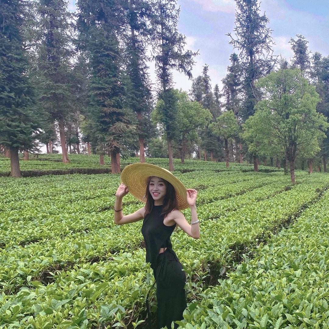 姗姗茶叶