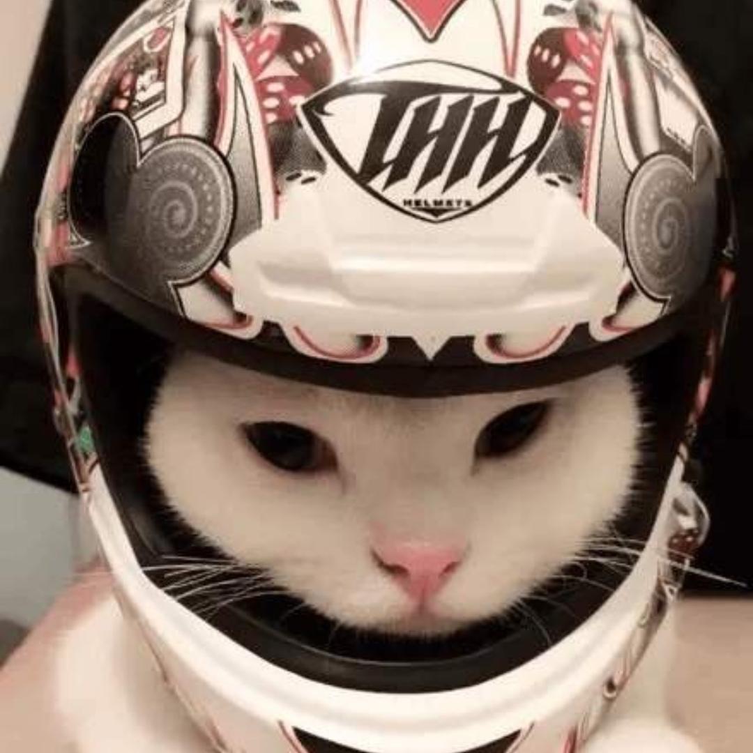 宇宙无敌〰️🌸