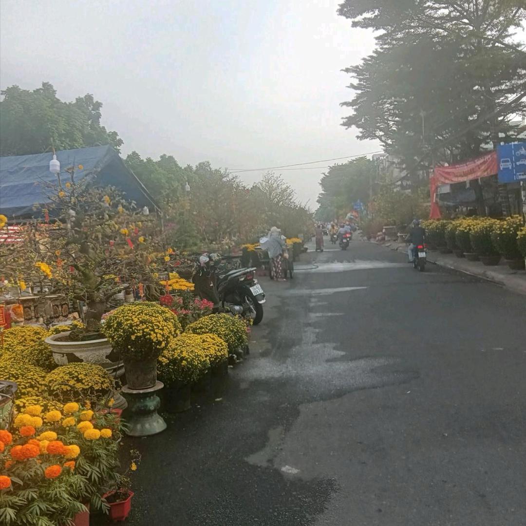 🚬ᐝ᭄勇往🍻直前࿐