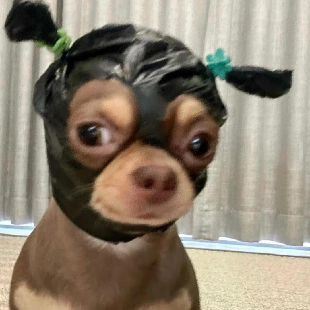 李哇塞