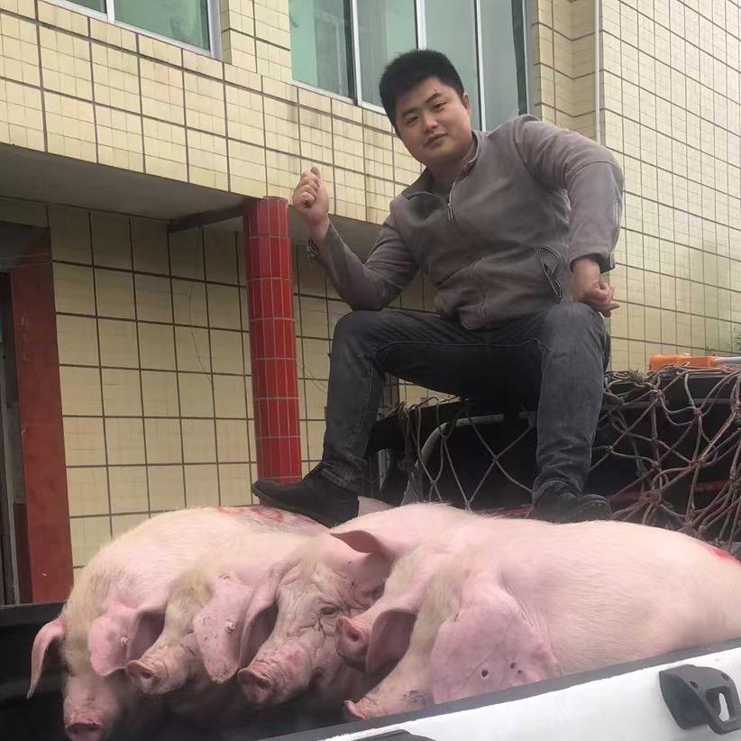 彭强土猪肉