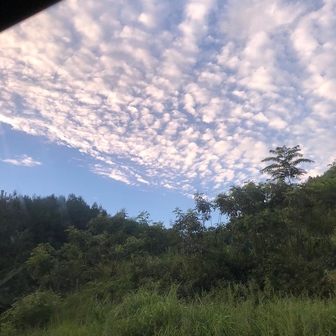 清风云淡