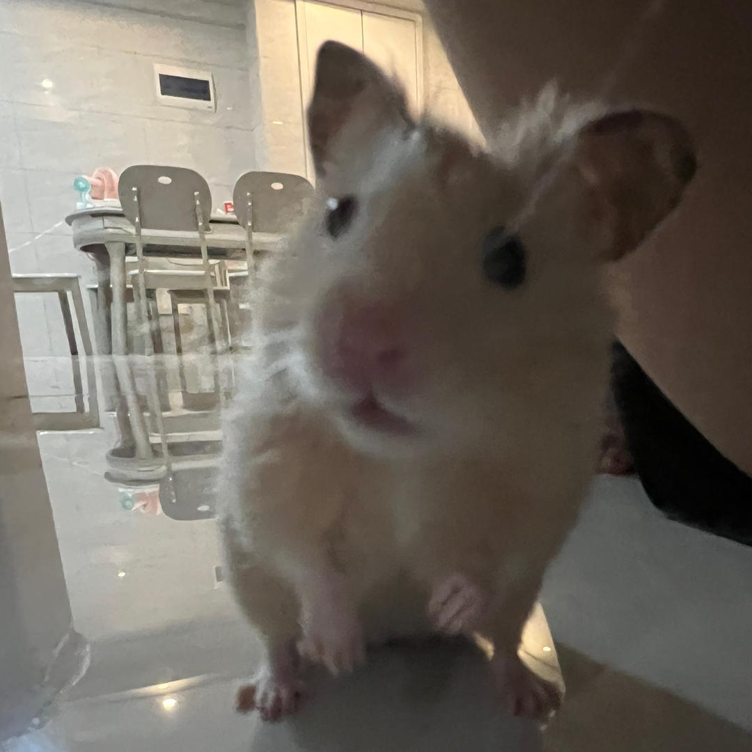 我很好