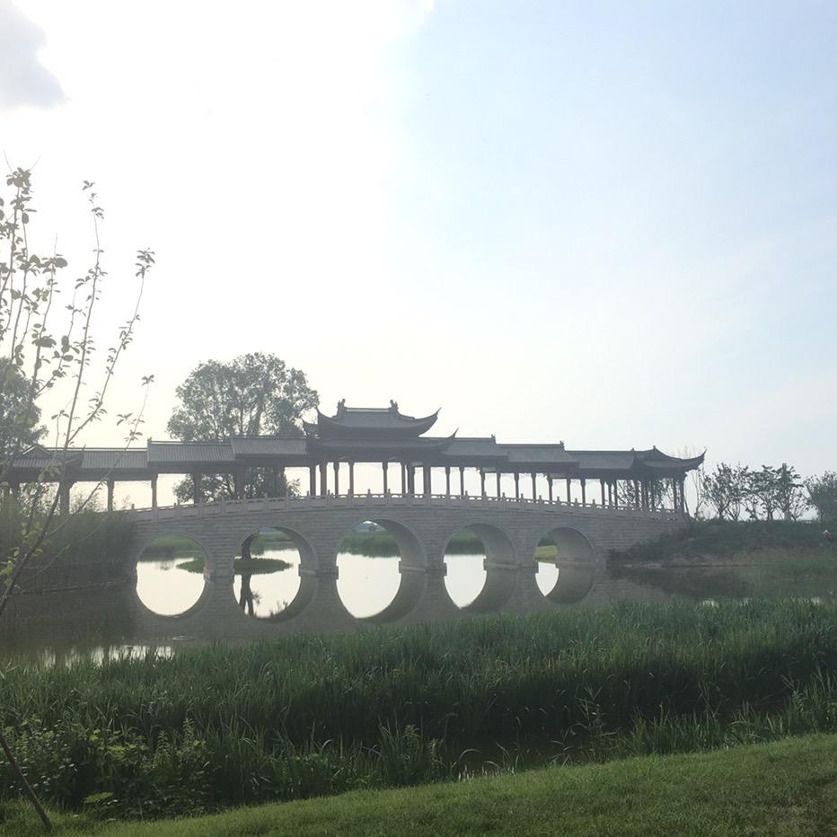 高姿态迎接明天シ