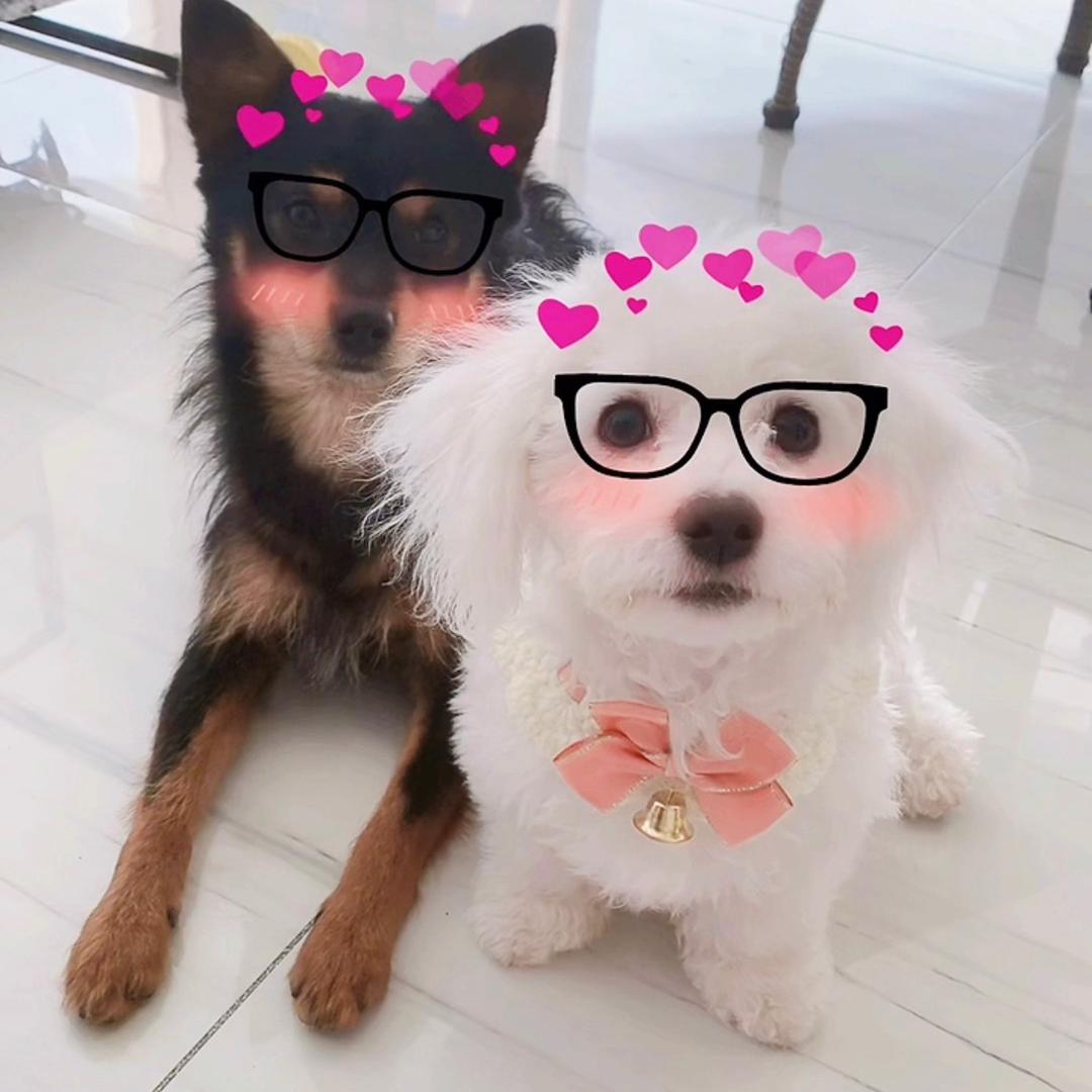 琦琦妙妙
