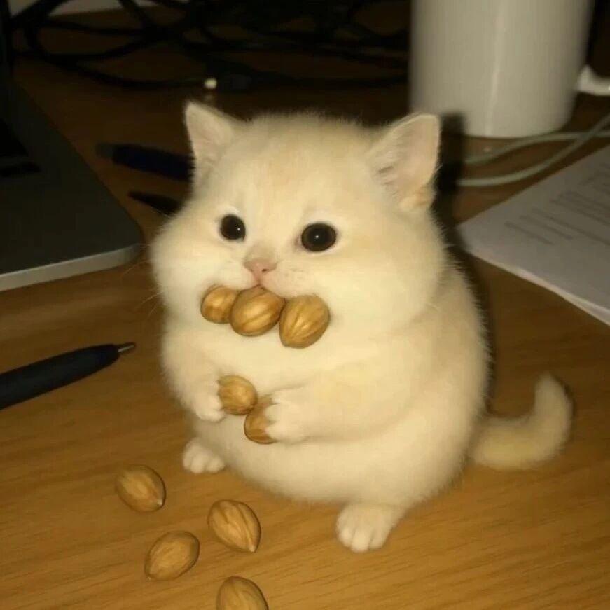 眨眨眼