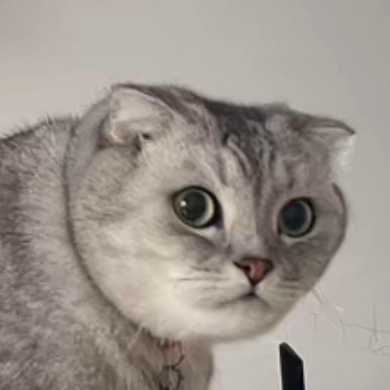 罗杰