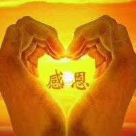 幽静竹林
