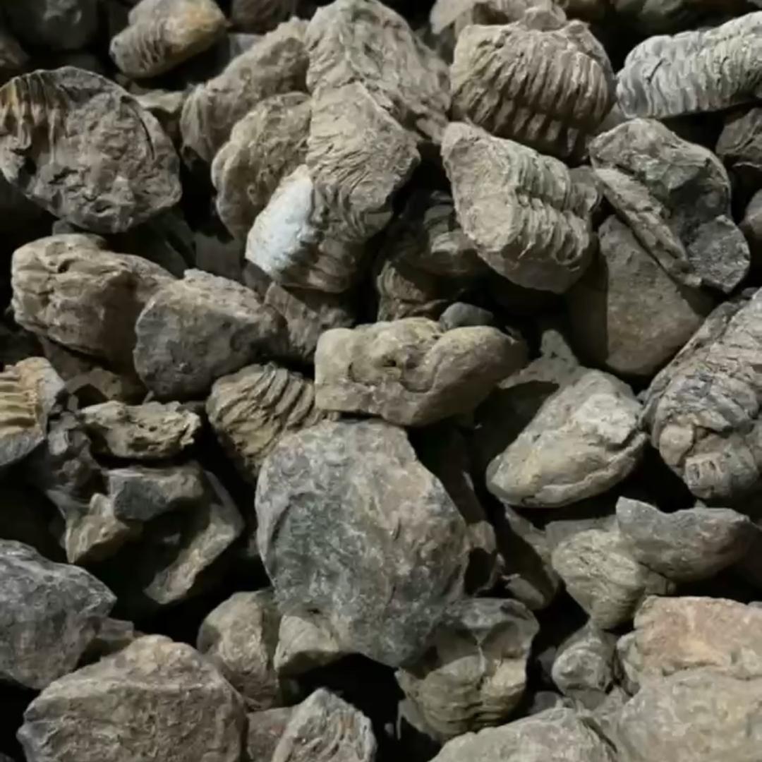 柯萱商贸